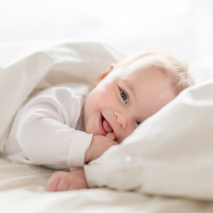 Clean & Safe Ingredients